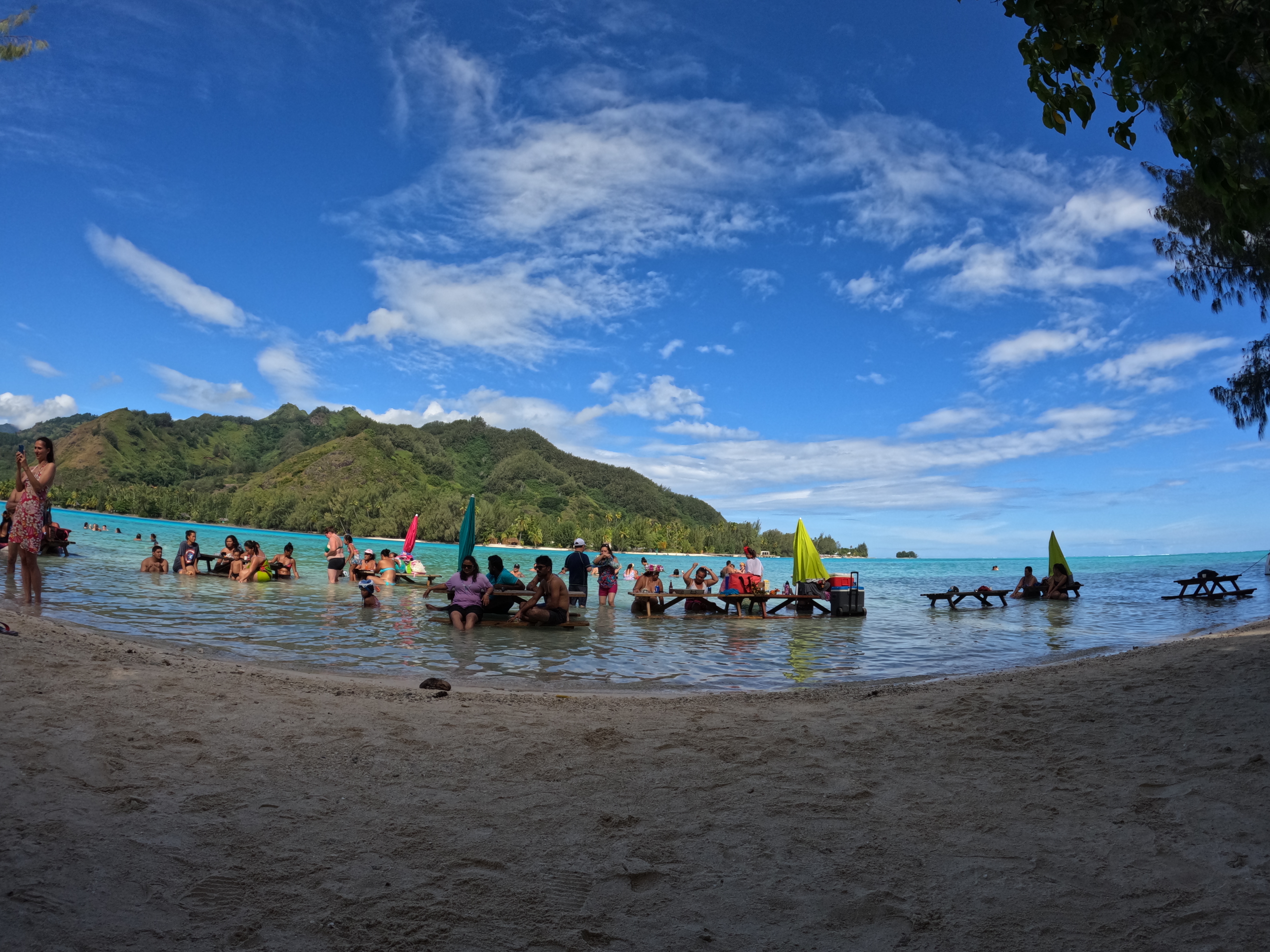 2022 Tahiti Taravao HXP - Day 4 (Kass's Birthday, Swimming with Sharks & Stingrays, Motu Fareone Island, Making Motu Fareone (E'ia Ota), Catching Crabs for 'Alca-Crab', Dance Party on Ferry to Tahiti, Catching Geckos)